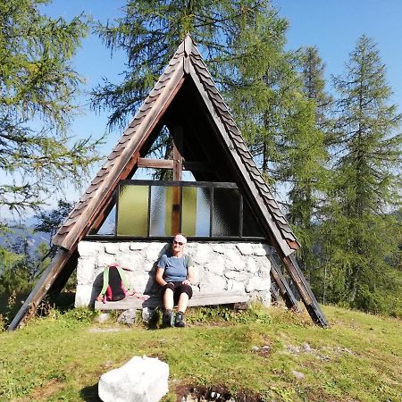 Ferienwohnung Schmaranzer Gosau Buitenkant foto