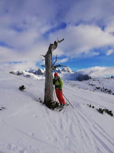 Ferienwohnung Schmaranzer Gosau Buitenkant foto