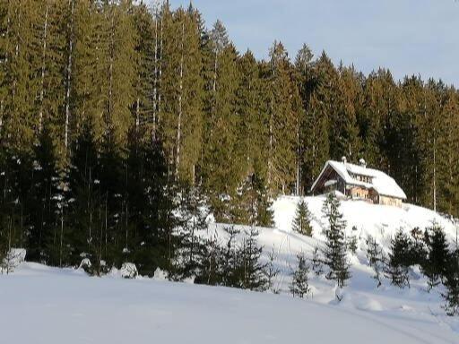 Ferienwohnung Schmaranzer Gosau Buitenkant foto