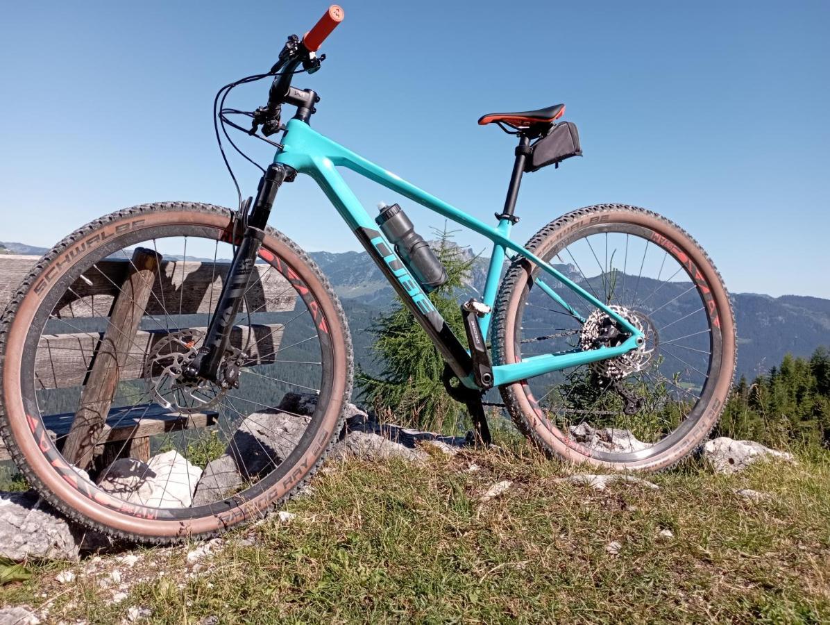 Ferienwohnung Schmaranzer Gosau Buitenkant foto