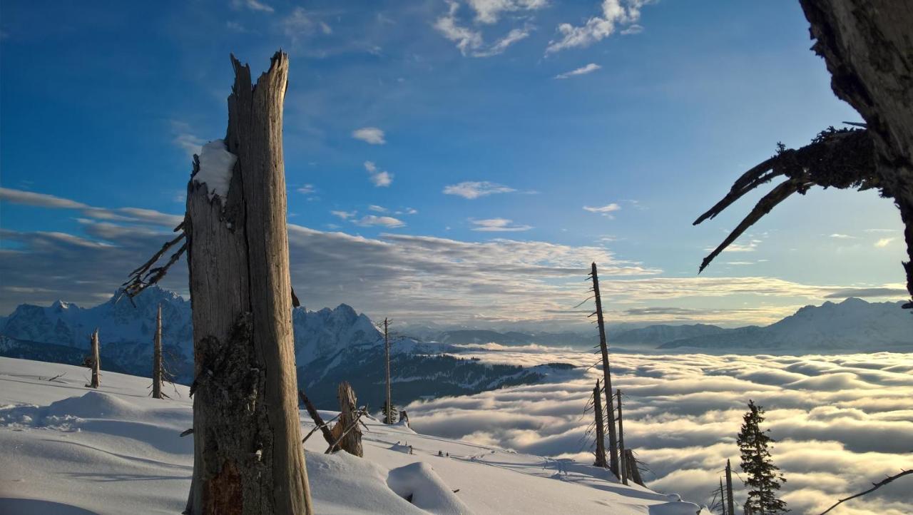 Ferienwohnung Schmaranzer Gosau Buitenkant foto