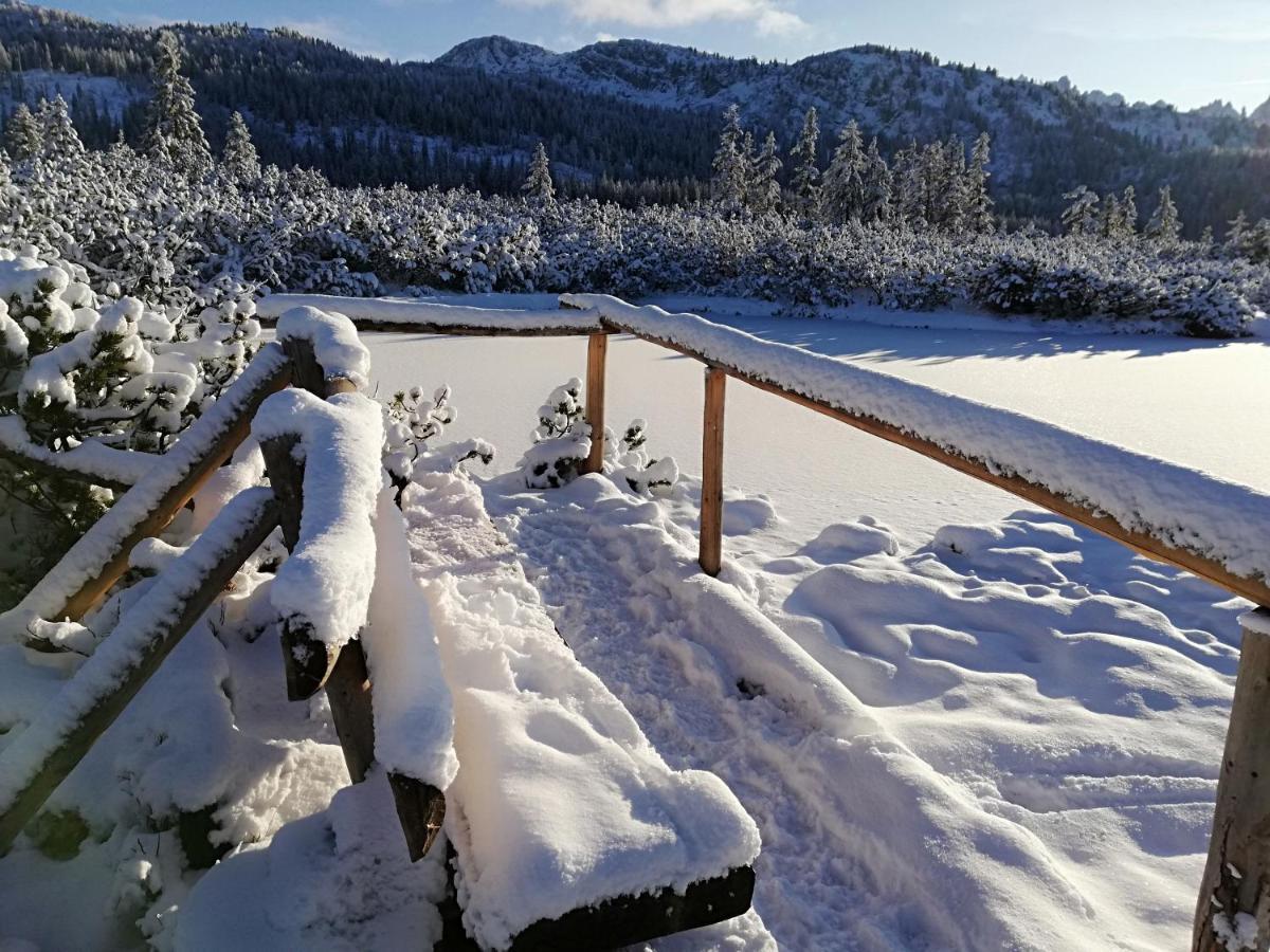 Ferienwohnung Schmaranzer Gosau Buitenkant foto